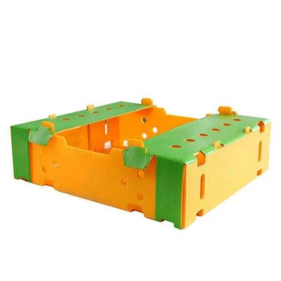 Custom Coroplast verpakkingsdoos voor groenten en fruit Lichte, waterdichte, duurzame, recyclebare, opvouwbare, stapelbare plastic krat