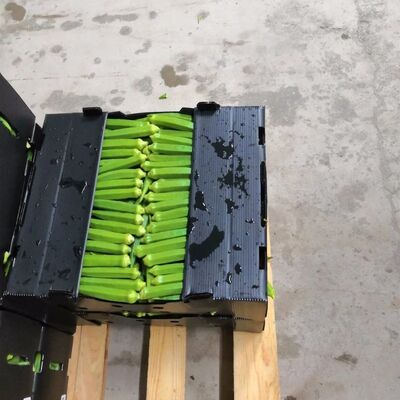 Custom Coroplast verpakkingsdoos voor groenten en fruit Lichte, waterdichte, duurzame, recyclebare, opvouwbare, stapelbare plastic krat